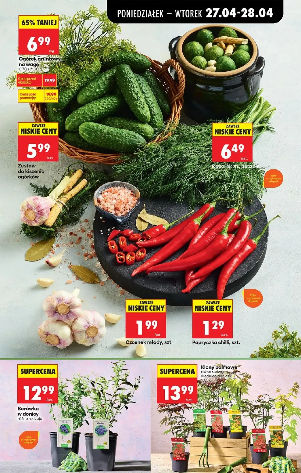 gazetka promocyjna Biedronka Od poniedziałku - Strona 41