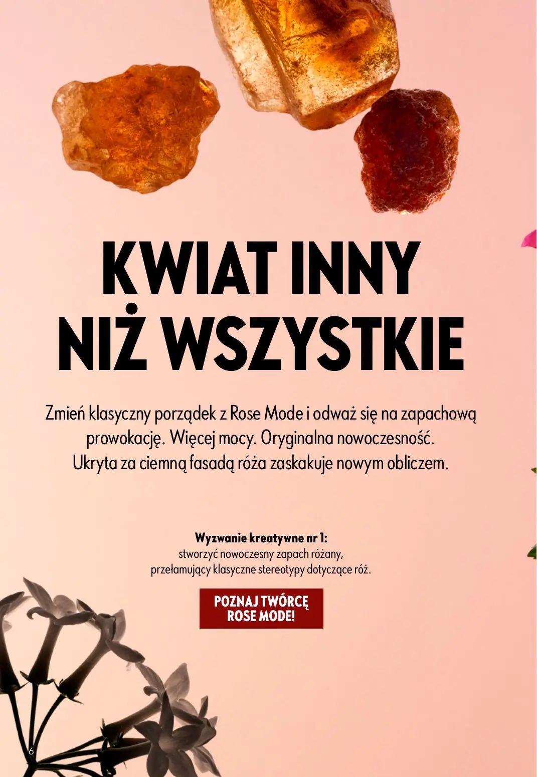 gazetka promocyjna ORIFLAME  - Strona 6