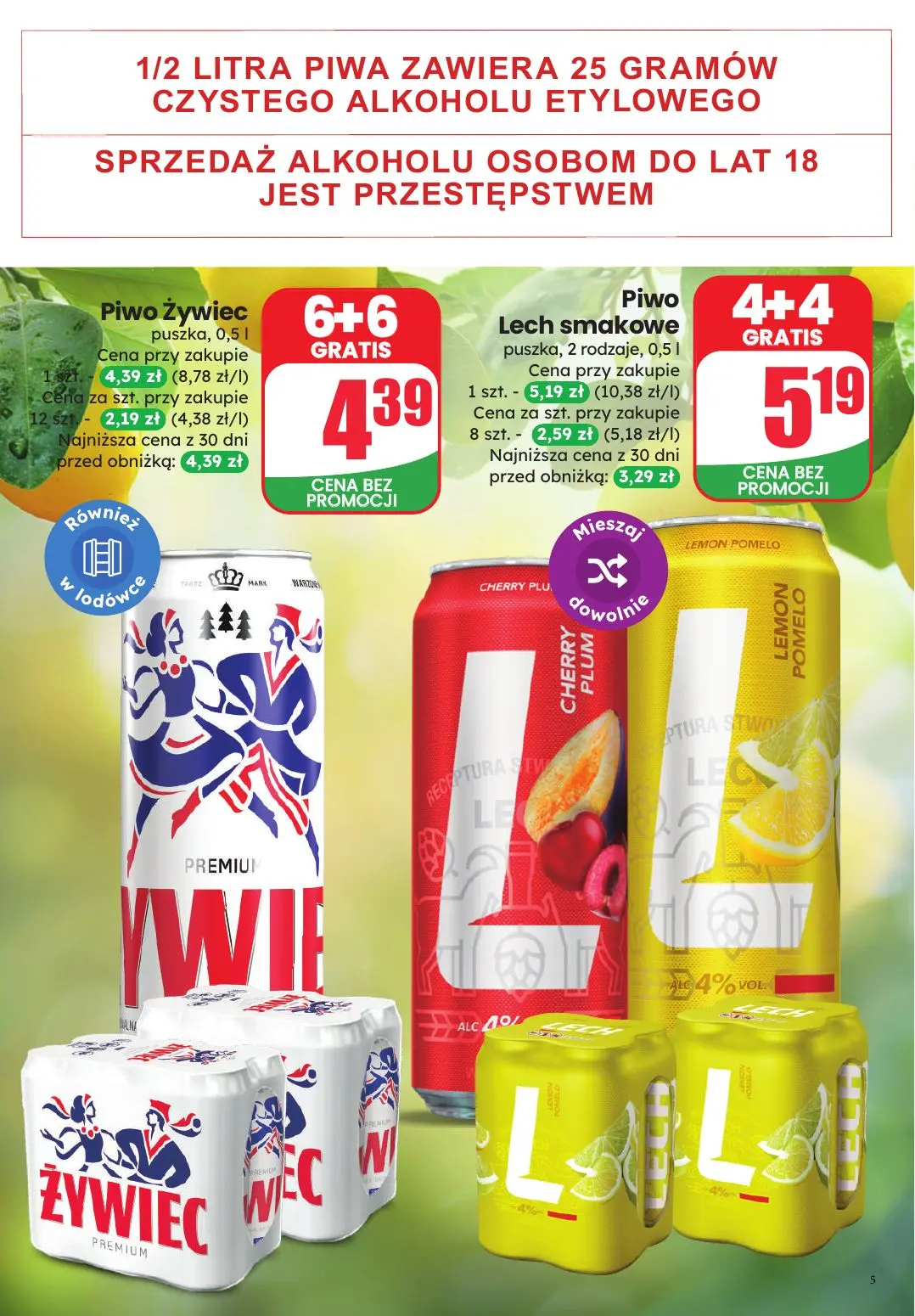 gazetka promocyjna dino Czas na majówkę - Strona 5