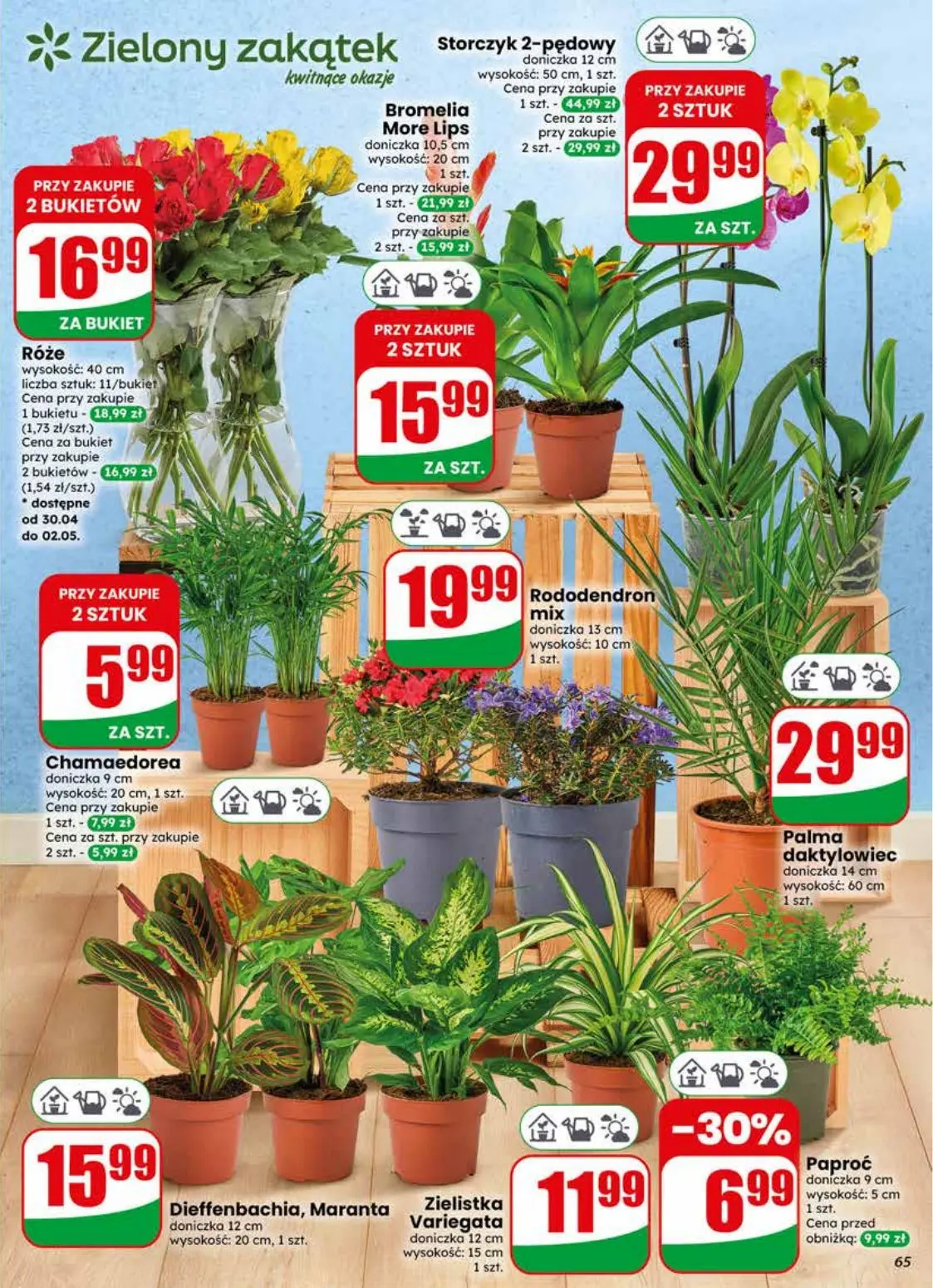 gazetka promocyjna dino Najbliżej Ciebie - Strona 65