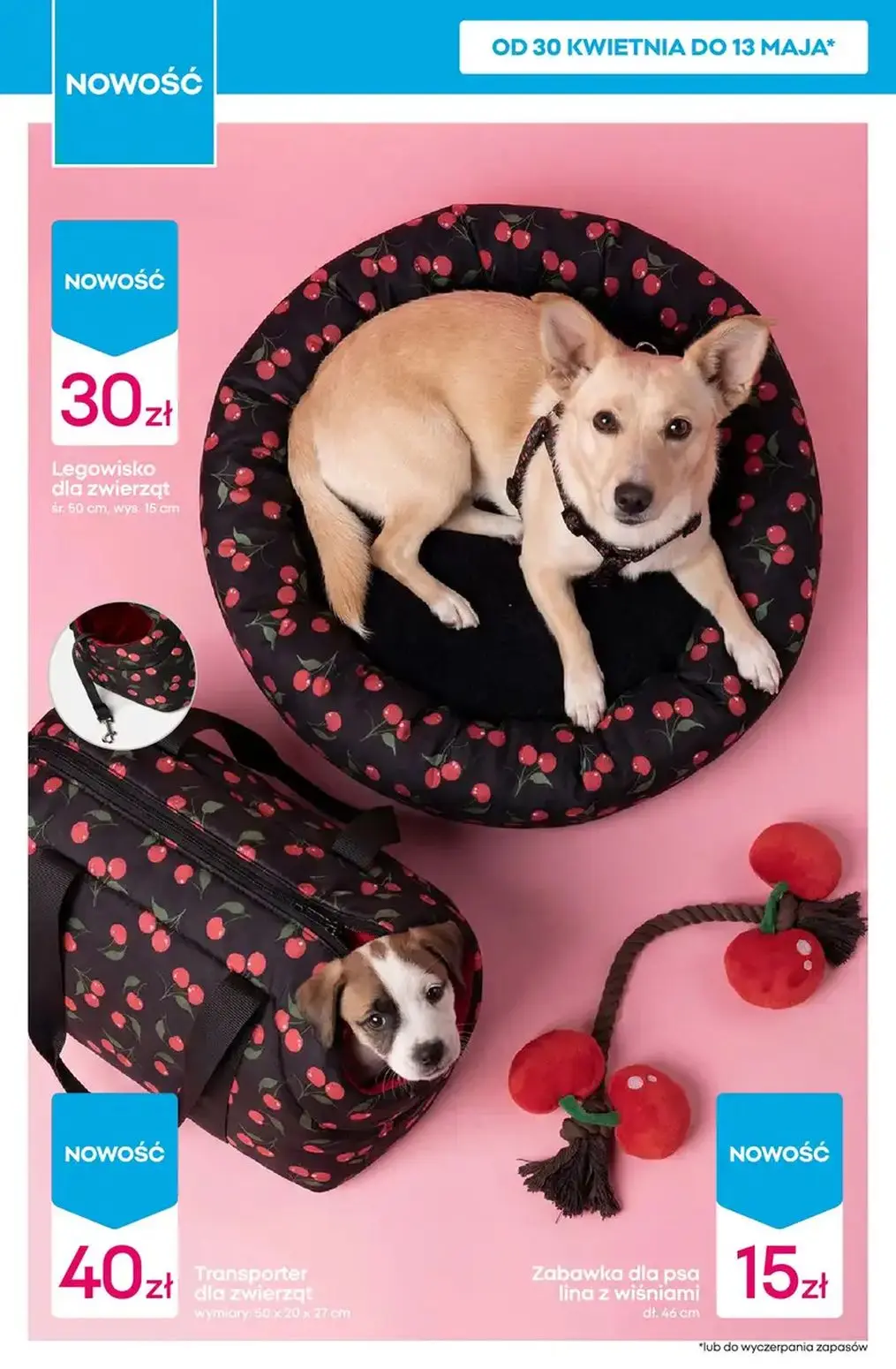 gazetka promocyjna PEPCO Hity tygodnia - Strona 8