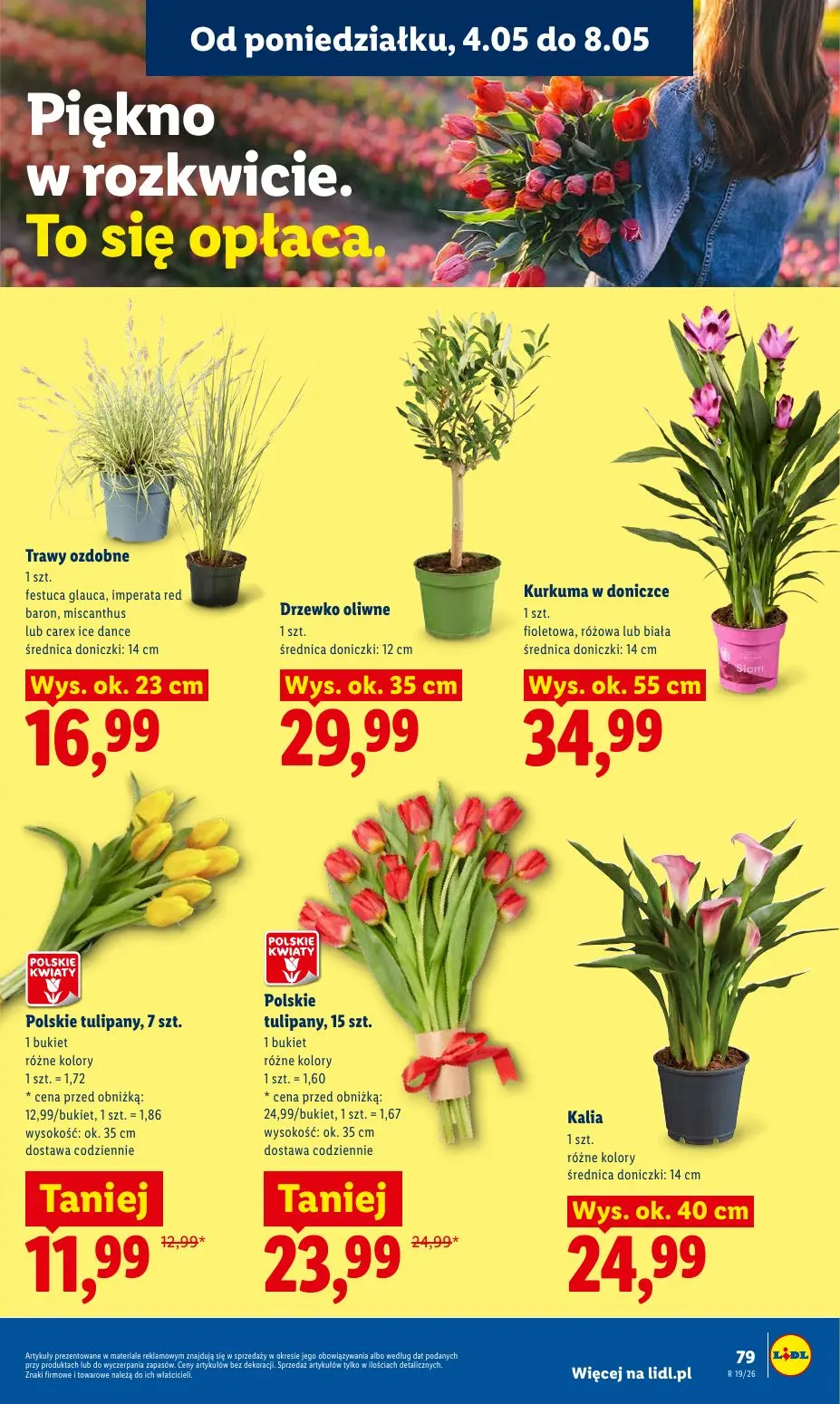 gazetka promocyjna LIDL Od poniedziałku - Strona 85