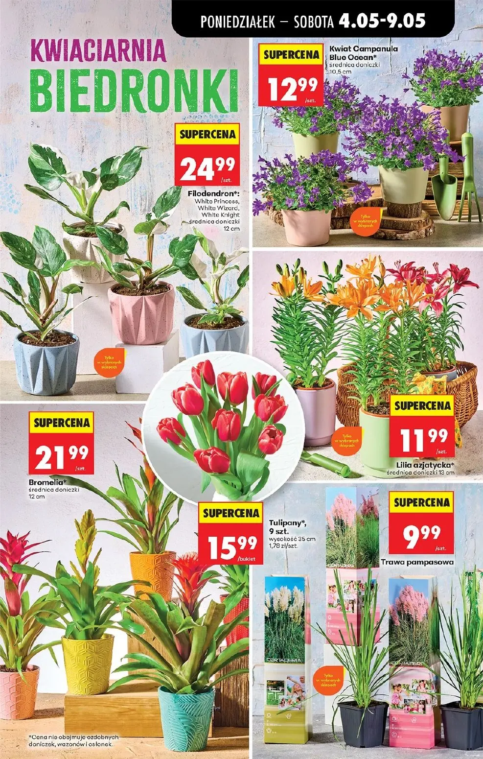 gazetka promocyjna Biedronka Lada tradycyjna. Od poniedziałku - Strona 77