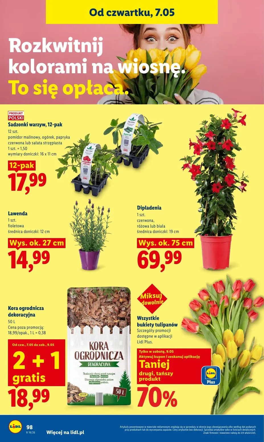 gazetka promocyjna LIDL Od czwartku - Strona 102