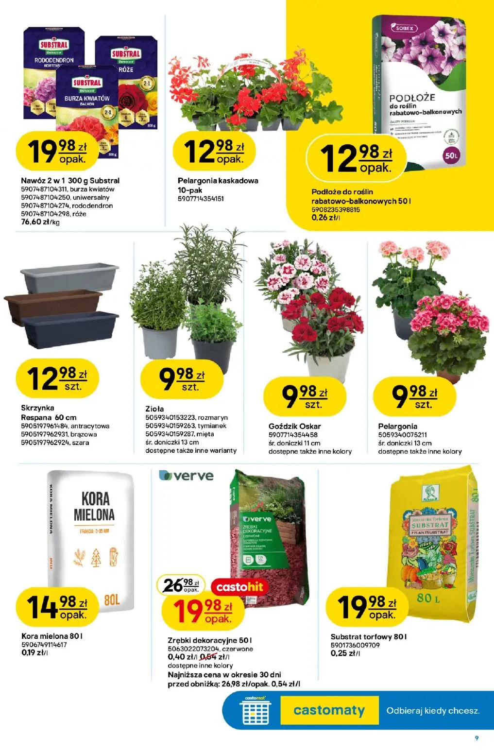 gazetka promocyjna castorama W teorii ogród - Strona 9