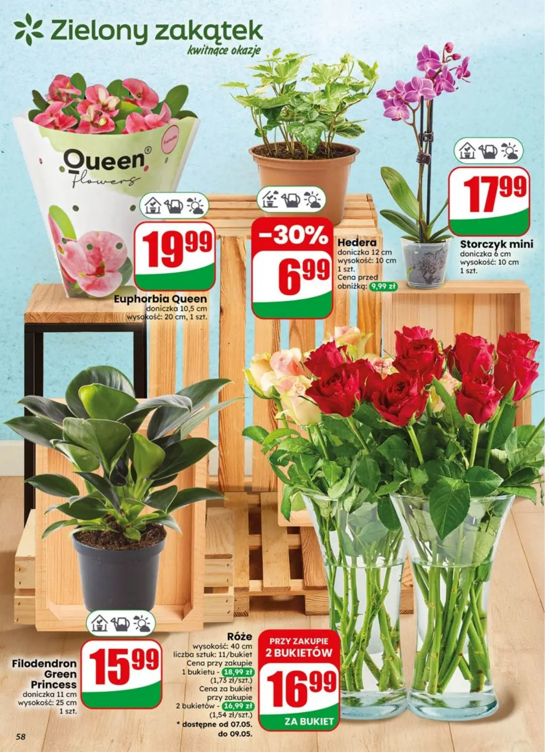 gazetka promocyjna dino Najbliżej Ciebie - Strona 58