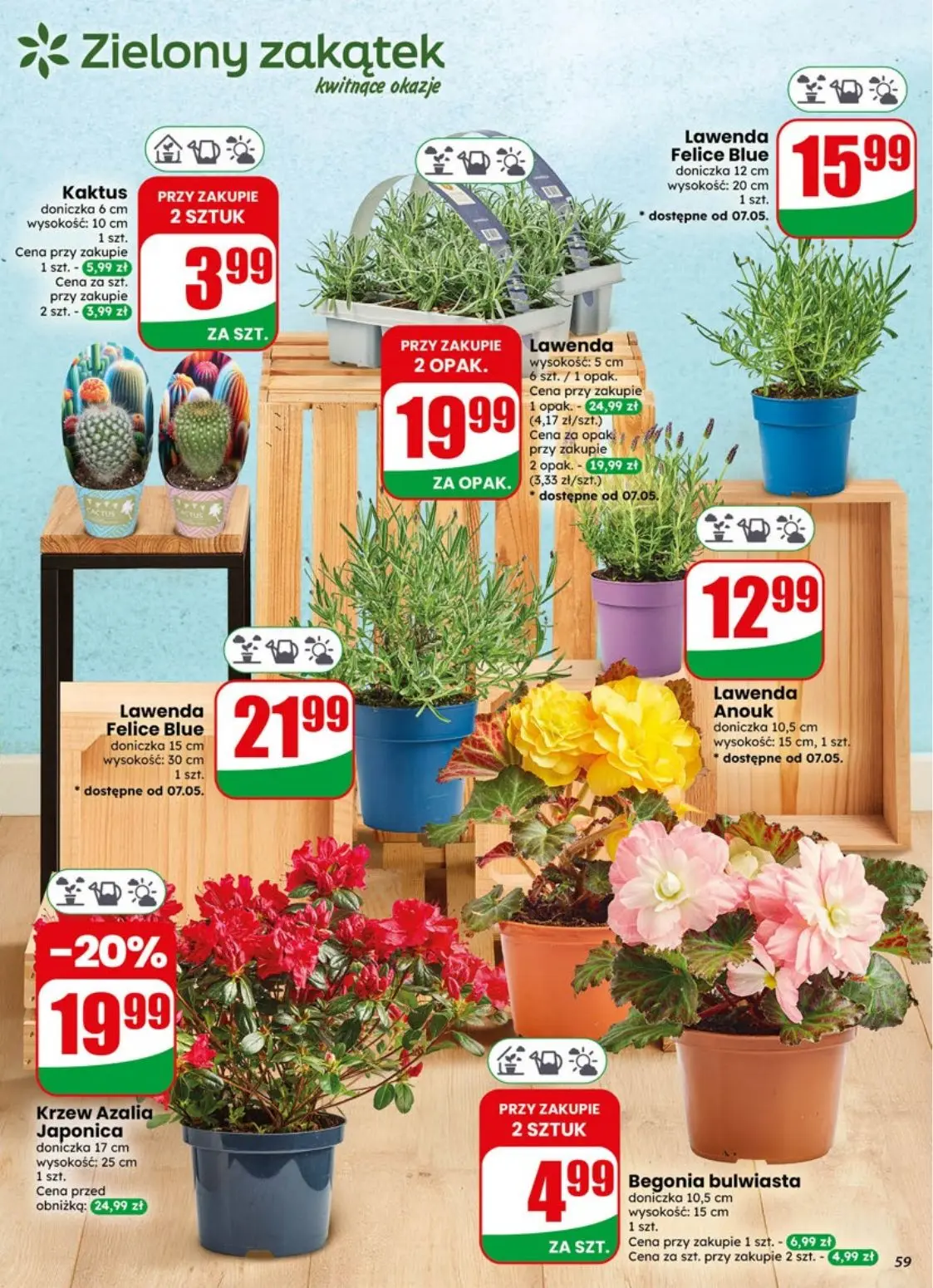 gazetka promocyjna dino Najbliżej Ciebie - Strona 59