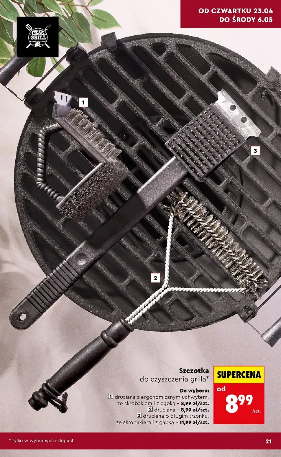 gazetka promocyjna Biedronka Hity i inspiracje do ogrodu - Strona 21