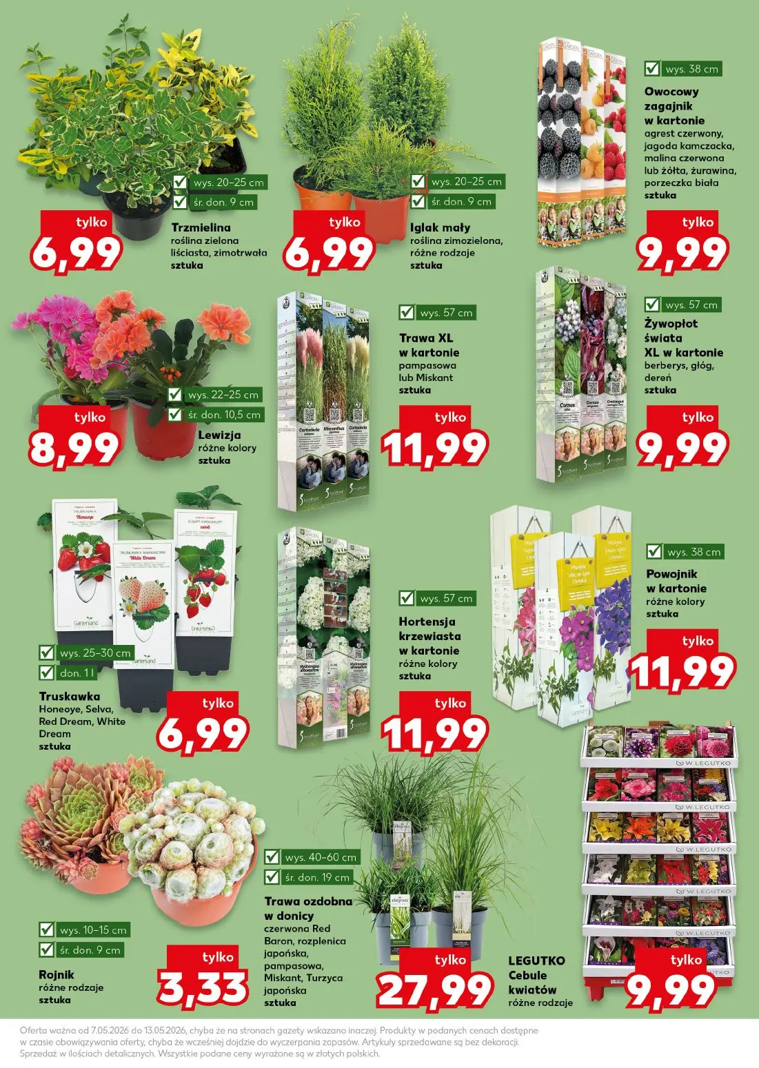gazetka promocyjna Kaufland Wiosenne inspiracje - Strona 11