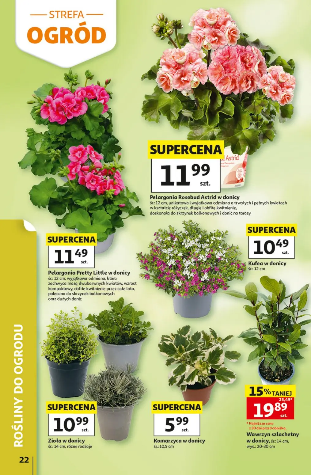 gazetka promocyjna Auchan Hity cenowe - Strona 22