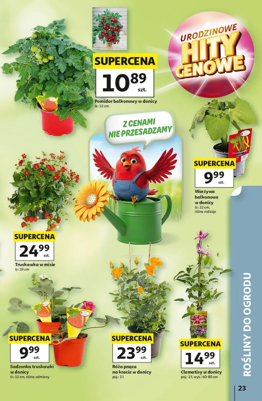 gazetka promocyjna Auchan Hity cenowe - Strona 23