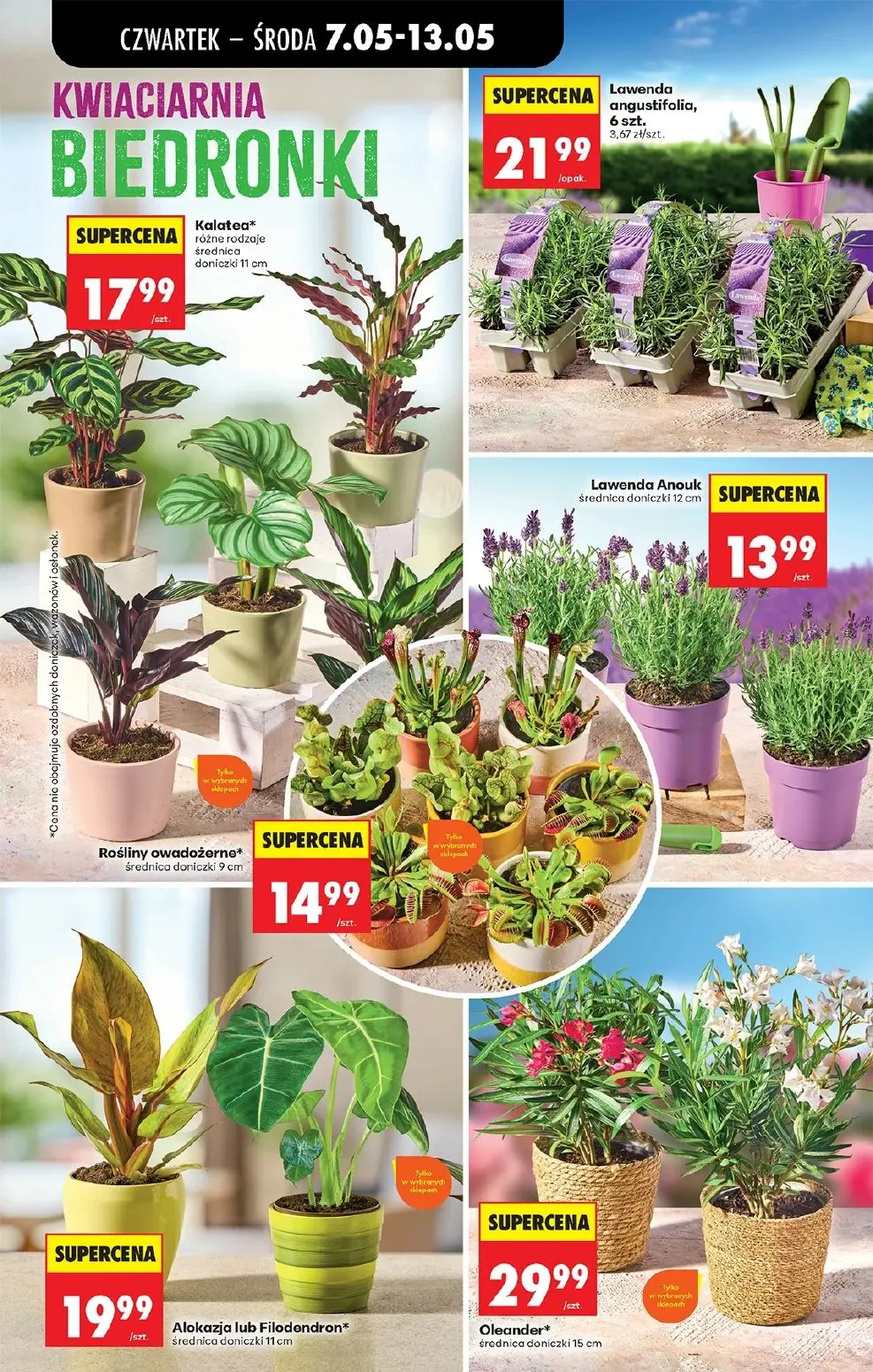 gazetka promocyjna Biedronka Od czwartku - Strona 84