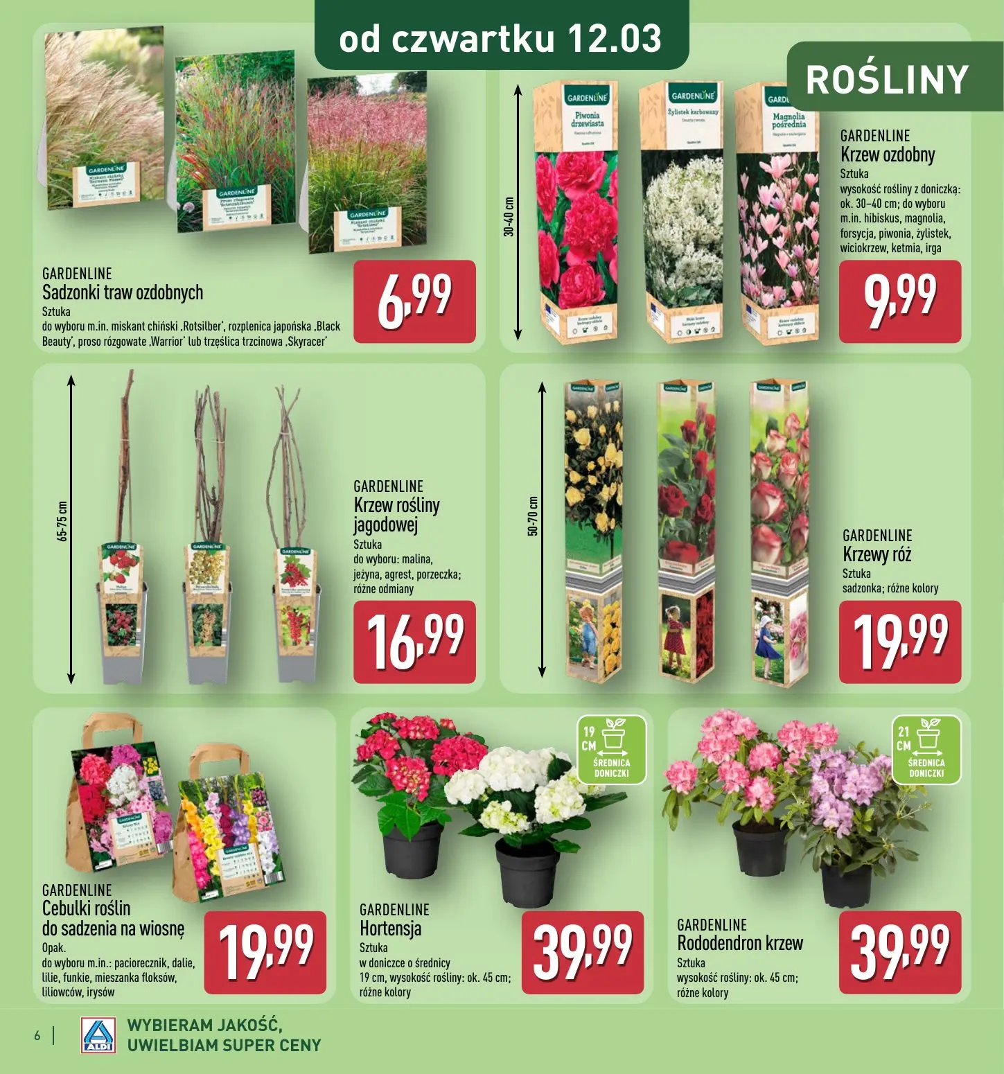 gazetka promocyjna ALDI Katalog OGRODOWY 🌱 - Strona 6