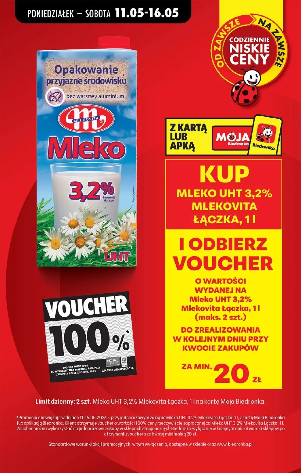 gazetka promocyjna Biedronka Lada tradycyjna. Od poniedziałku - Strona 17