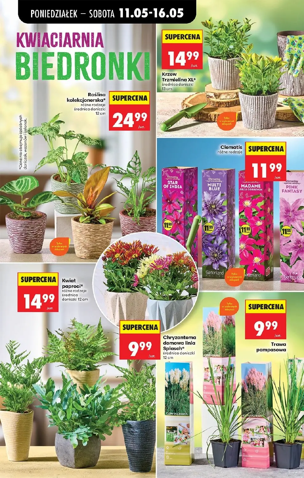 gazetka promocyjna Biedronka Lada tradycyjna. Od poniedziałku - Strona 40