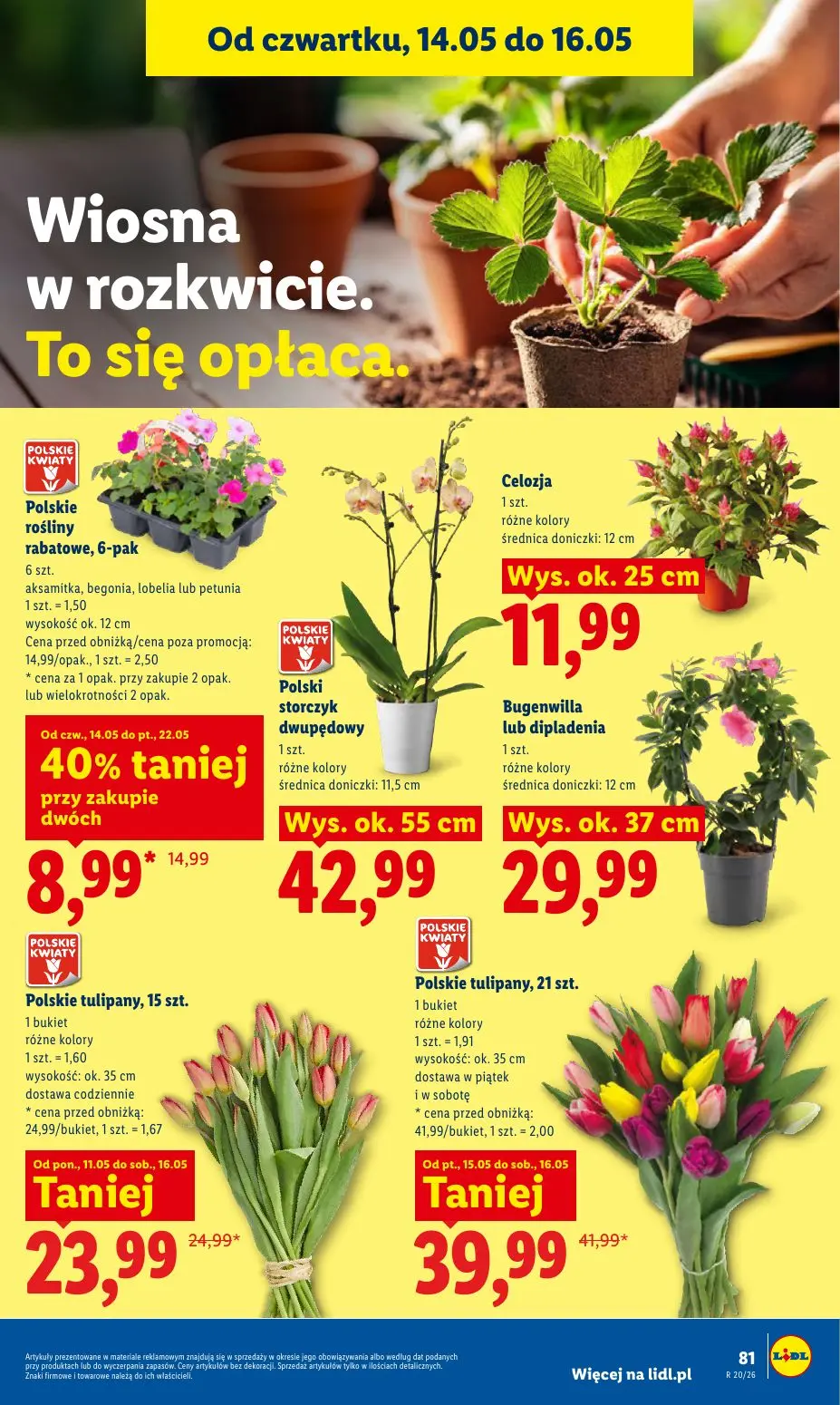 gazetka promocyjna LIDL Od czwartku - Strona 87