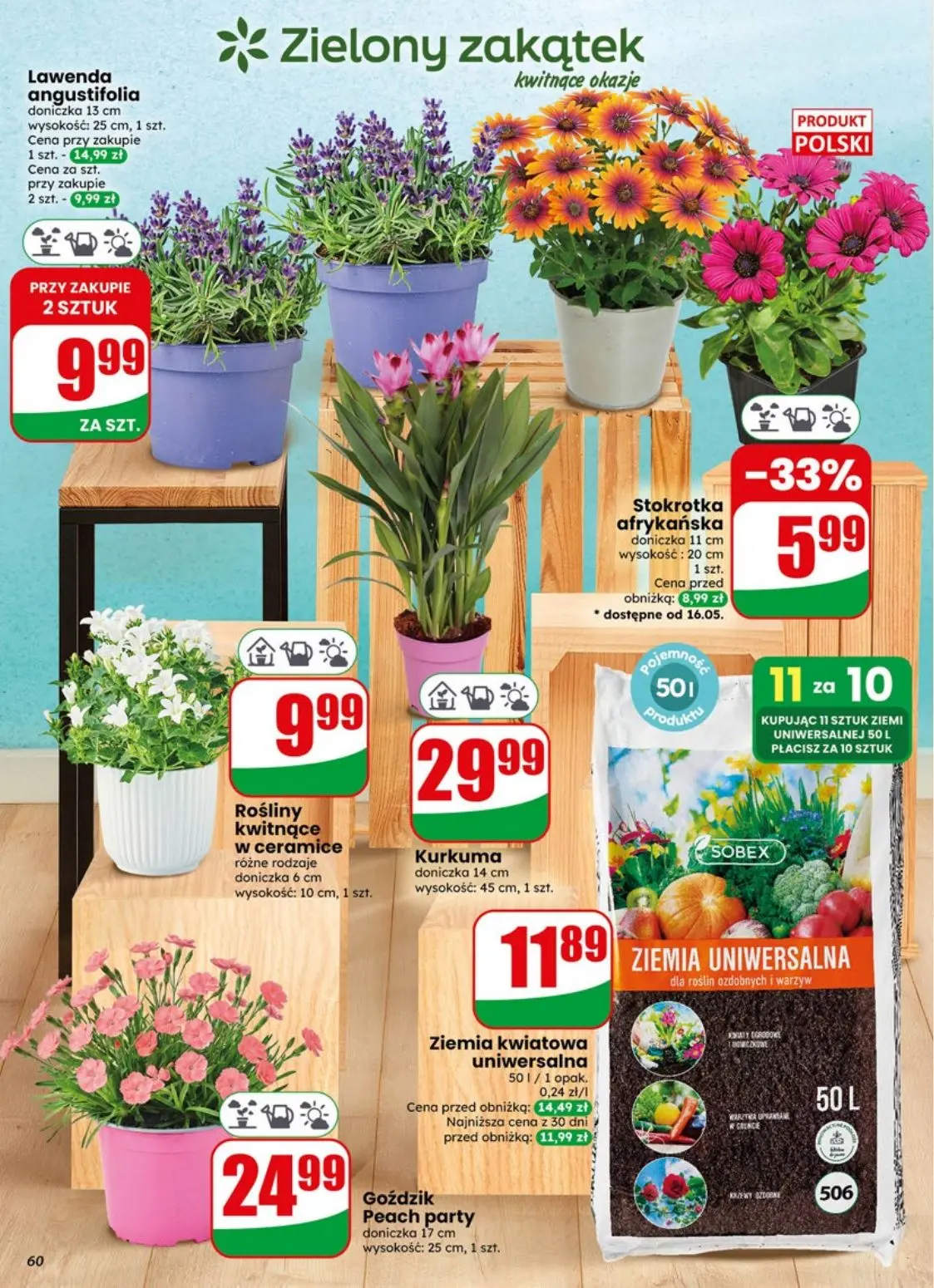 gazetka promocyjna dino Najbliżej Ciebie - Strona 60