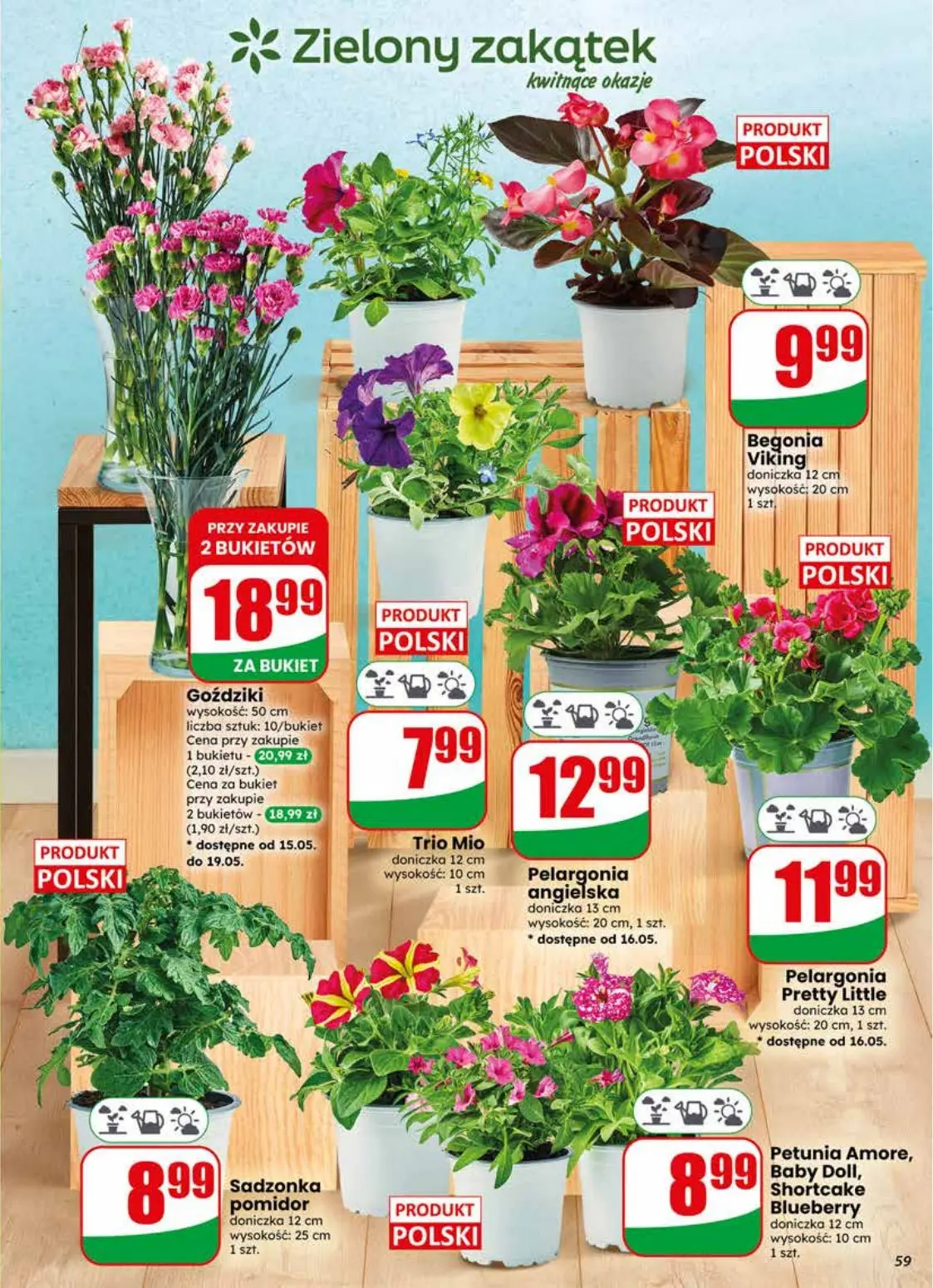 gazetka promocyjna dino Najbliżej Ciebie - Strona 59