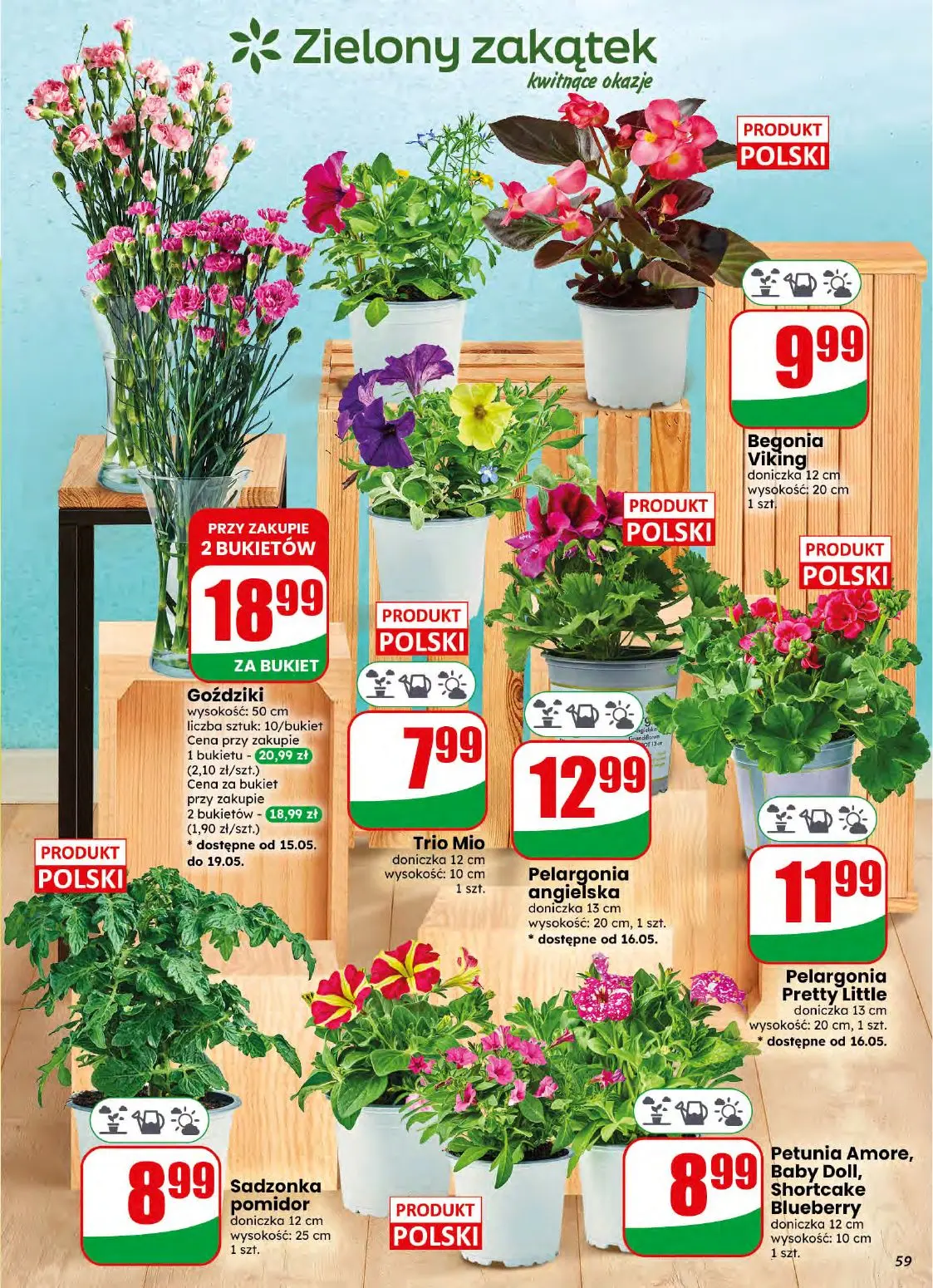 gazetka promocyjna dino Najbliżej Ciebie - Strona 59