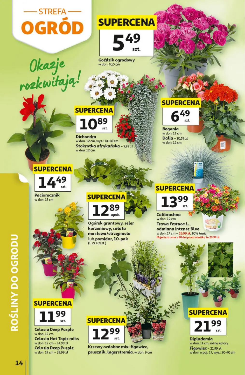 gazetka promocyjna Auchan Urodzinowe Hity Cenowe - Strona 14