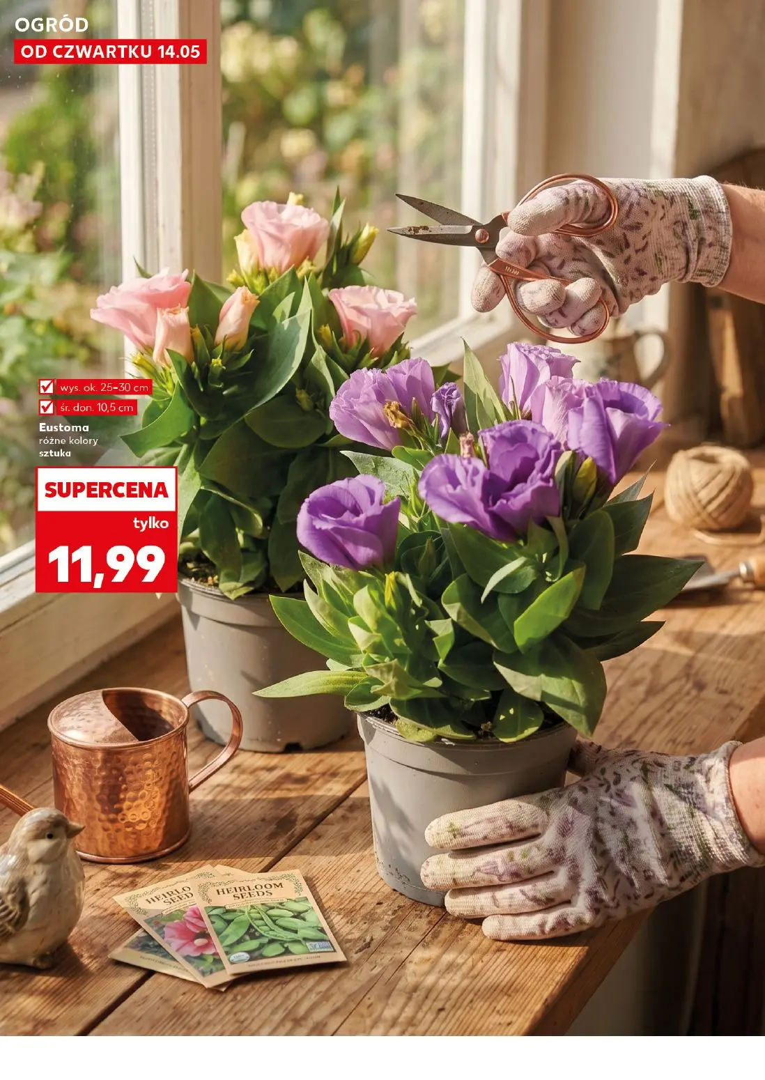 gazetka promocyjna Kaufland Ogród. Wiosenne inspiracje - Strona 10