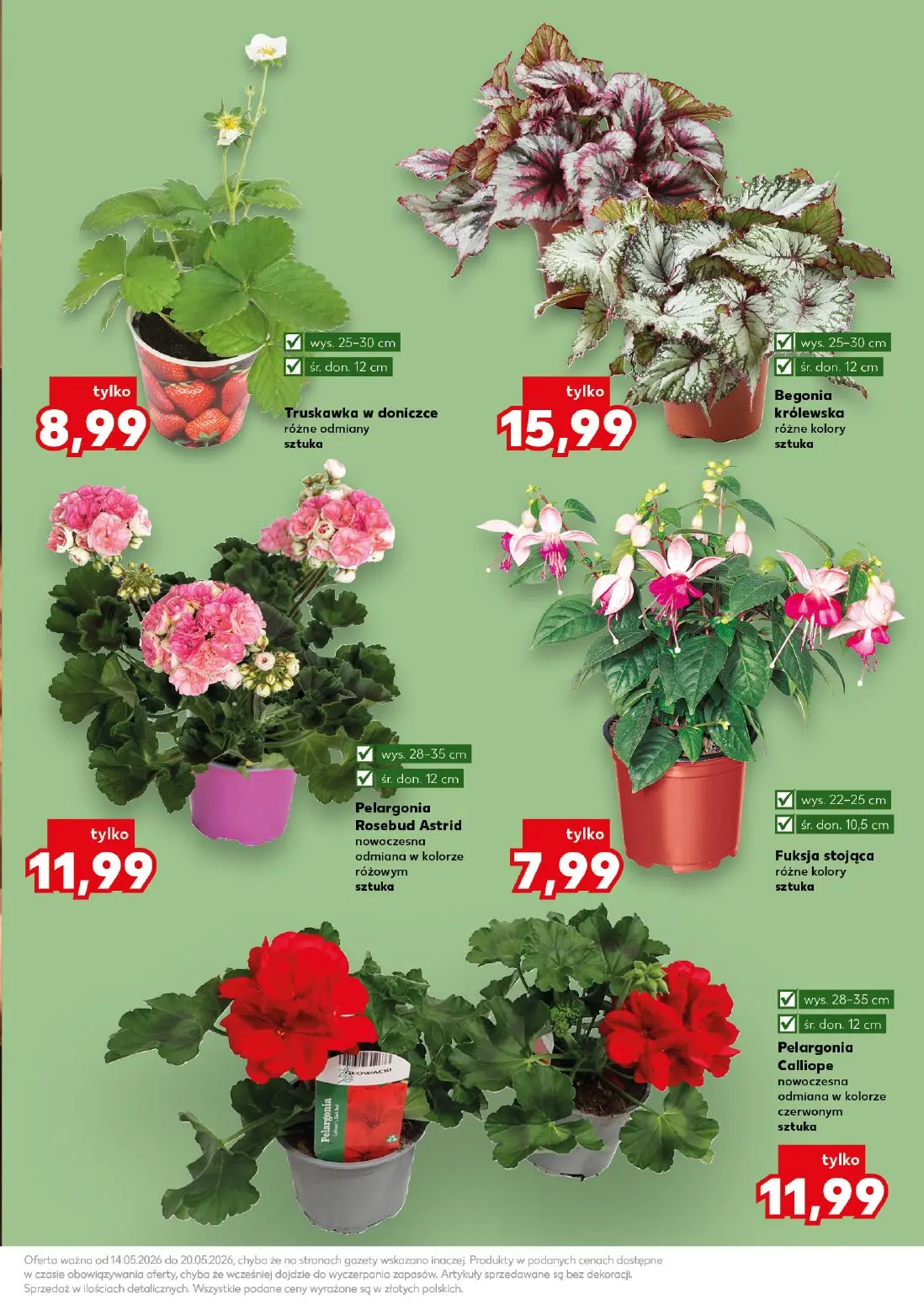 gazetka promocyjna Kaufland Ogród. Wiosenne inspiracje - Strona 11