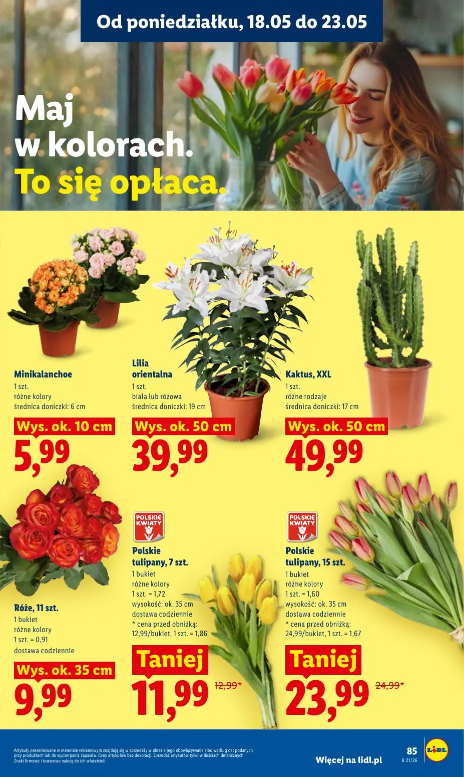 gazetka promocyjna LIDL Od poniedziałku - Strona 89