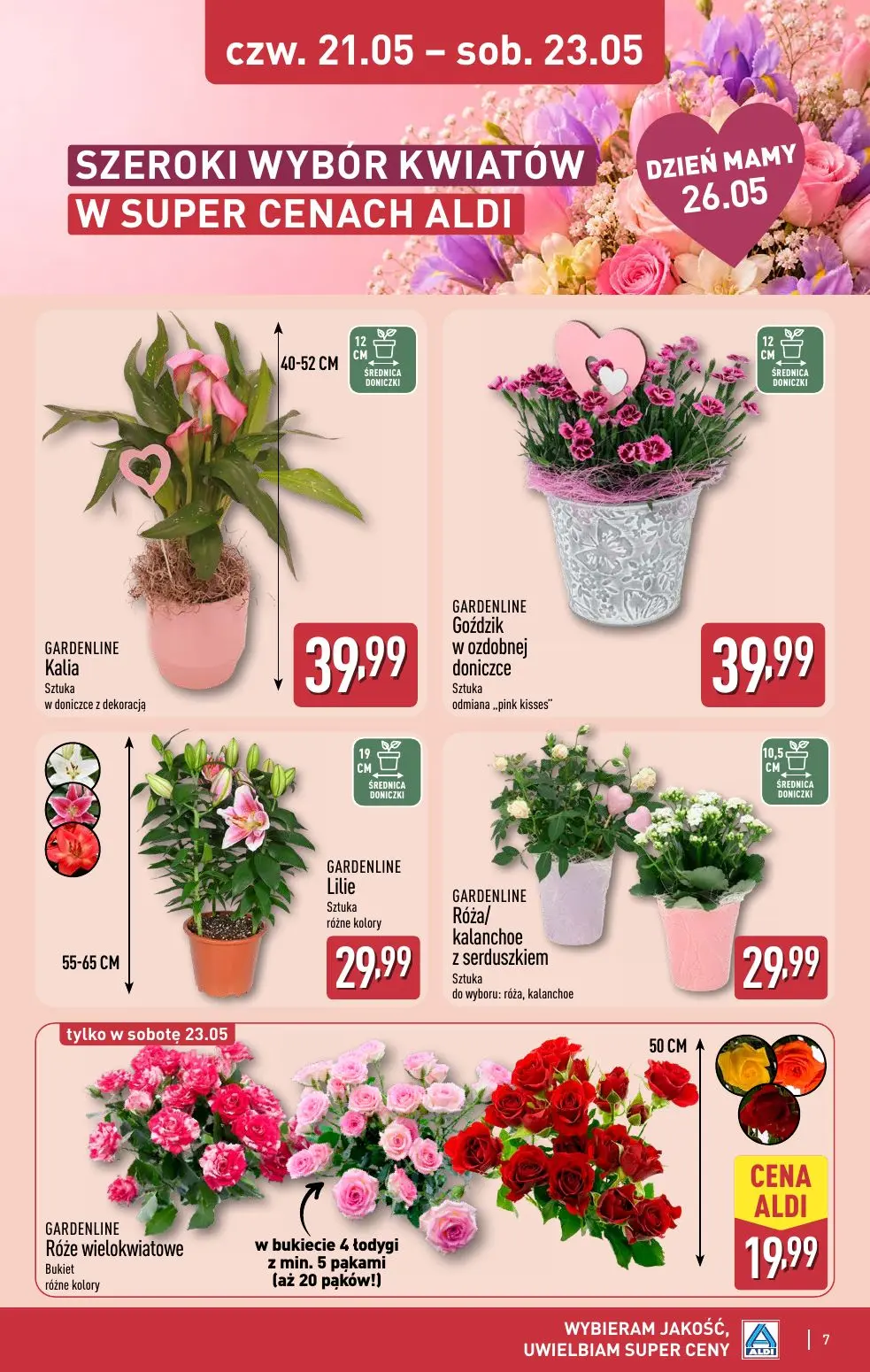 gazetka promocyjna ALDI Dzień Mamy - Strona 7