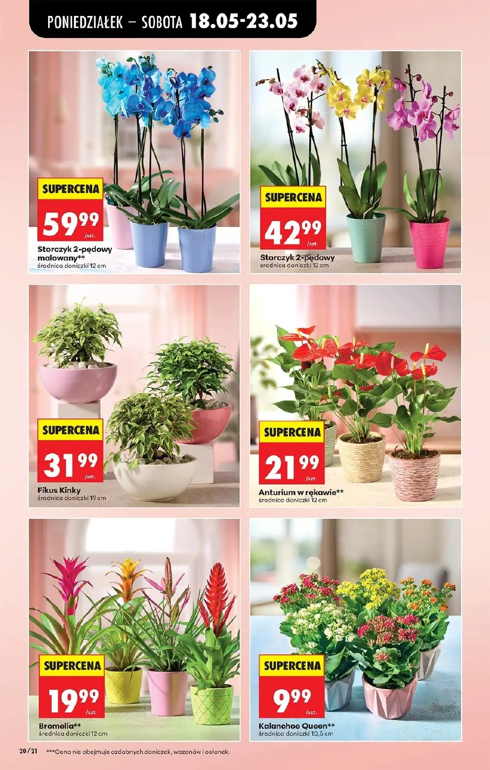 gazetka promocyjna Biedronka Od poniedziałku - Strona 22