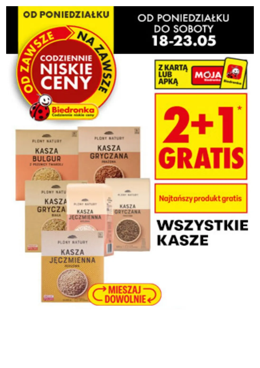 gazetka promocyjna Biedronka Biedronkowe oszczędności - Strona 15