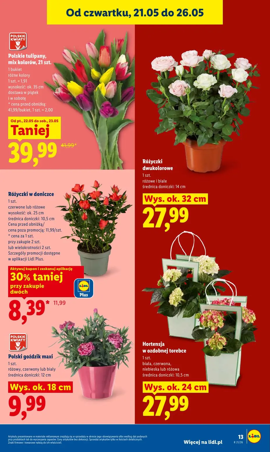 gazetka promocyjna LIDL Od czwartku - Strona 13