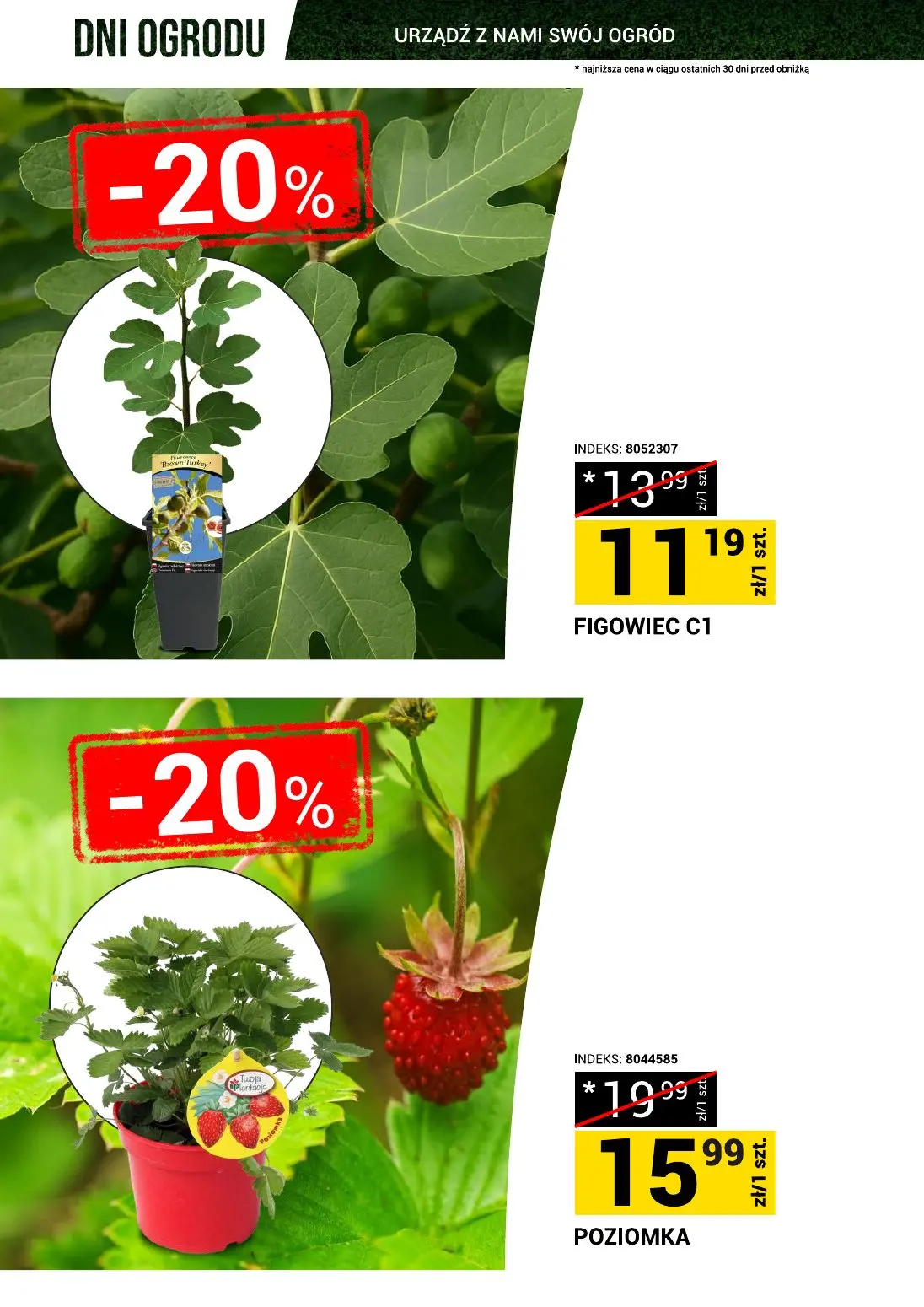 gazetka promocyjna Merkury Market Dni ogrodu - Strona 2