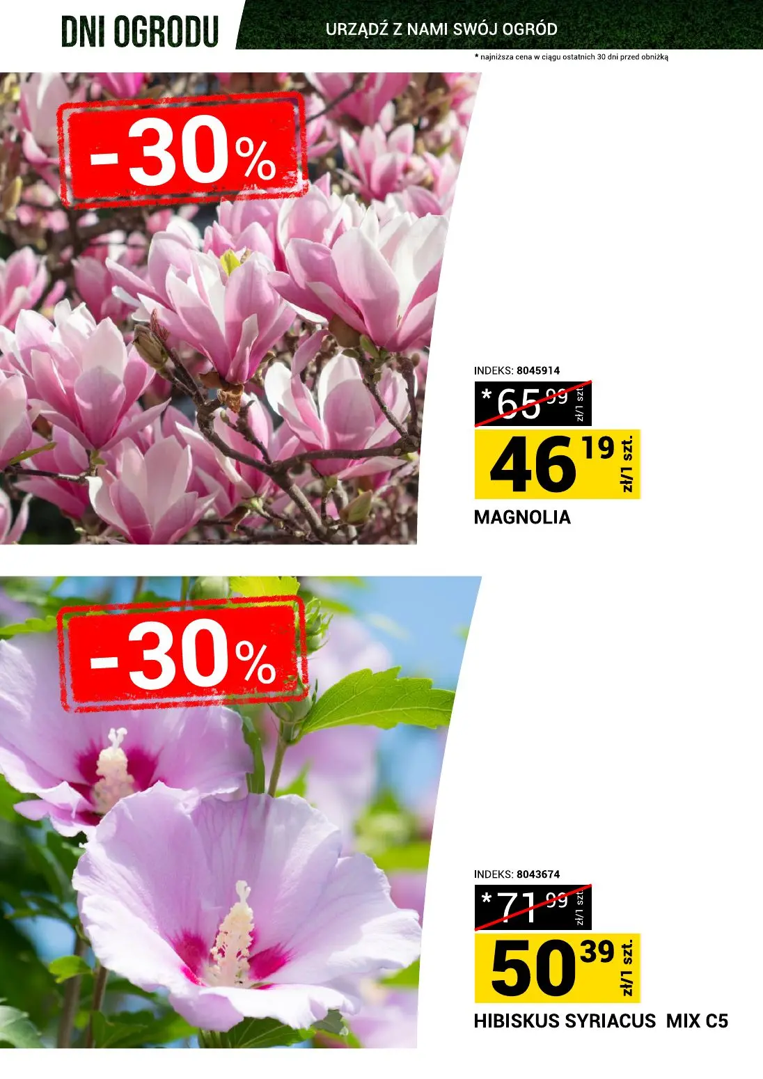 gazetka promocyjna Merkury Market Dni ogrodu - Strona 5