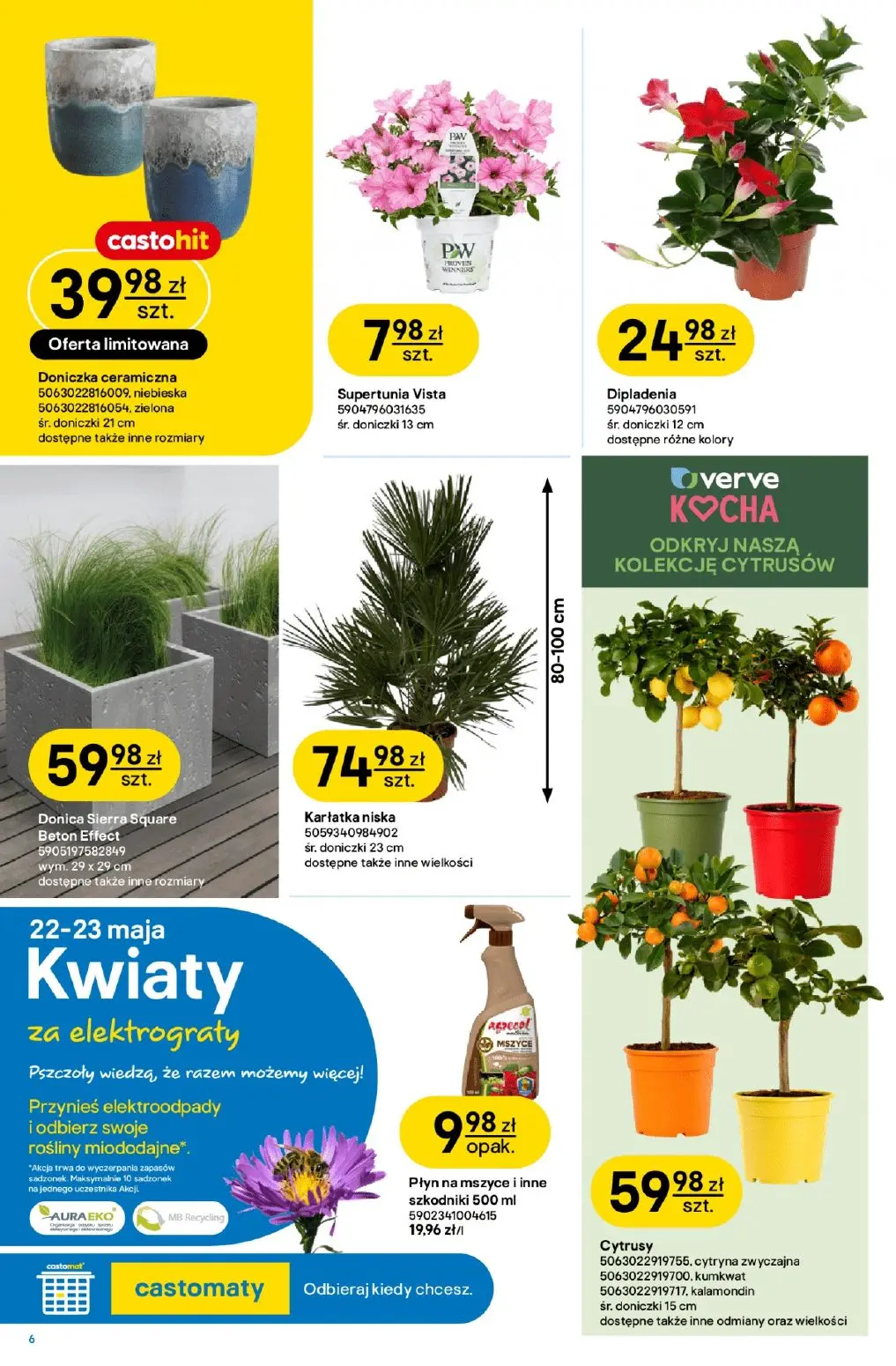gazetka promocyjna castorama W teorii ogród - Strona 6
