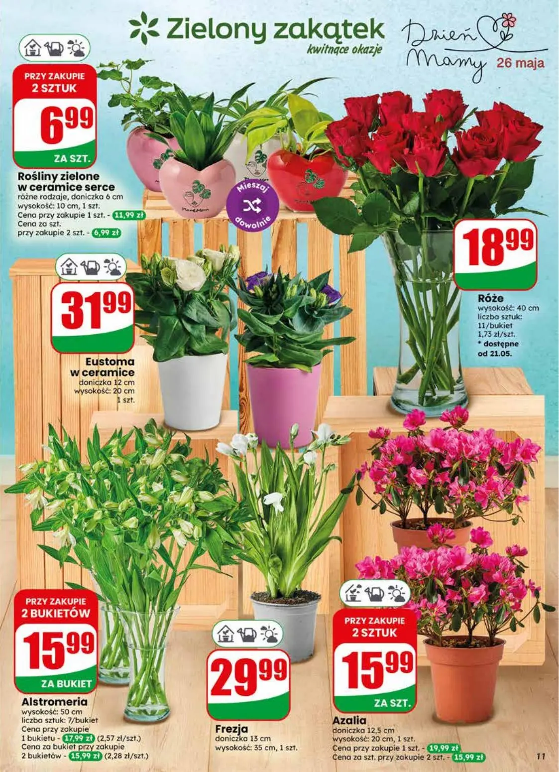 gazetka promocyjna dino Najbliżej Ciebie - Strona 11