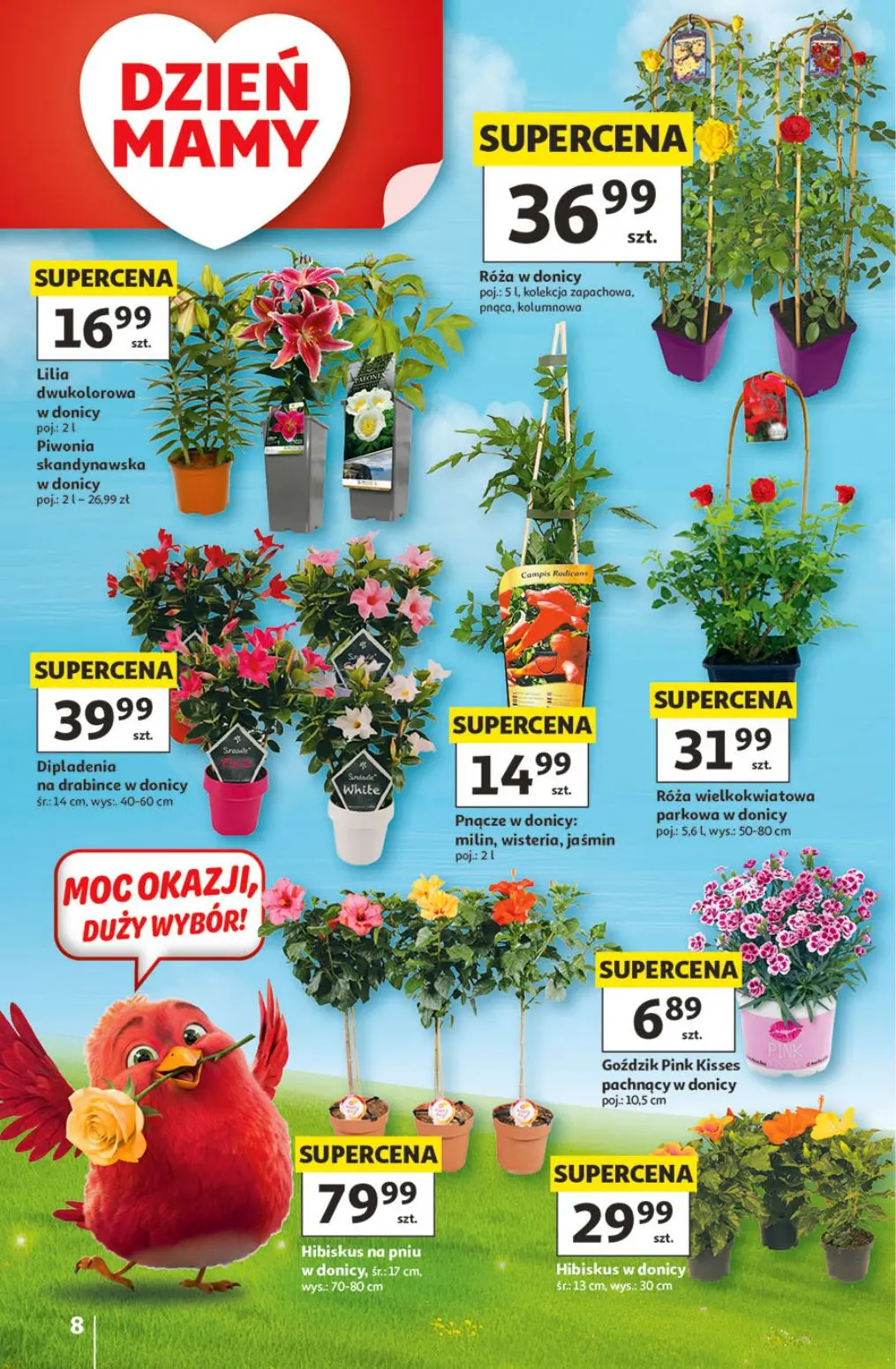gazetka promocyjna Auchan Urodzinowe Hity Cenowe - Strona 8