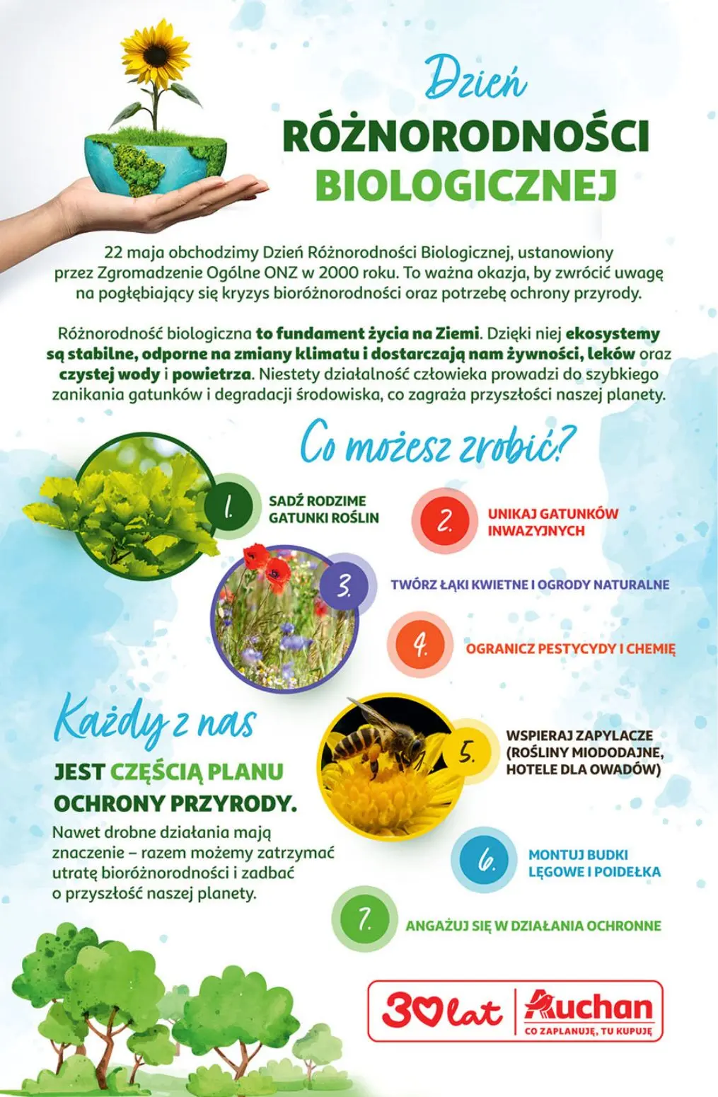 gazetka promocyjna Auchan Urodzinowe Hity Cenowe - Strona 56