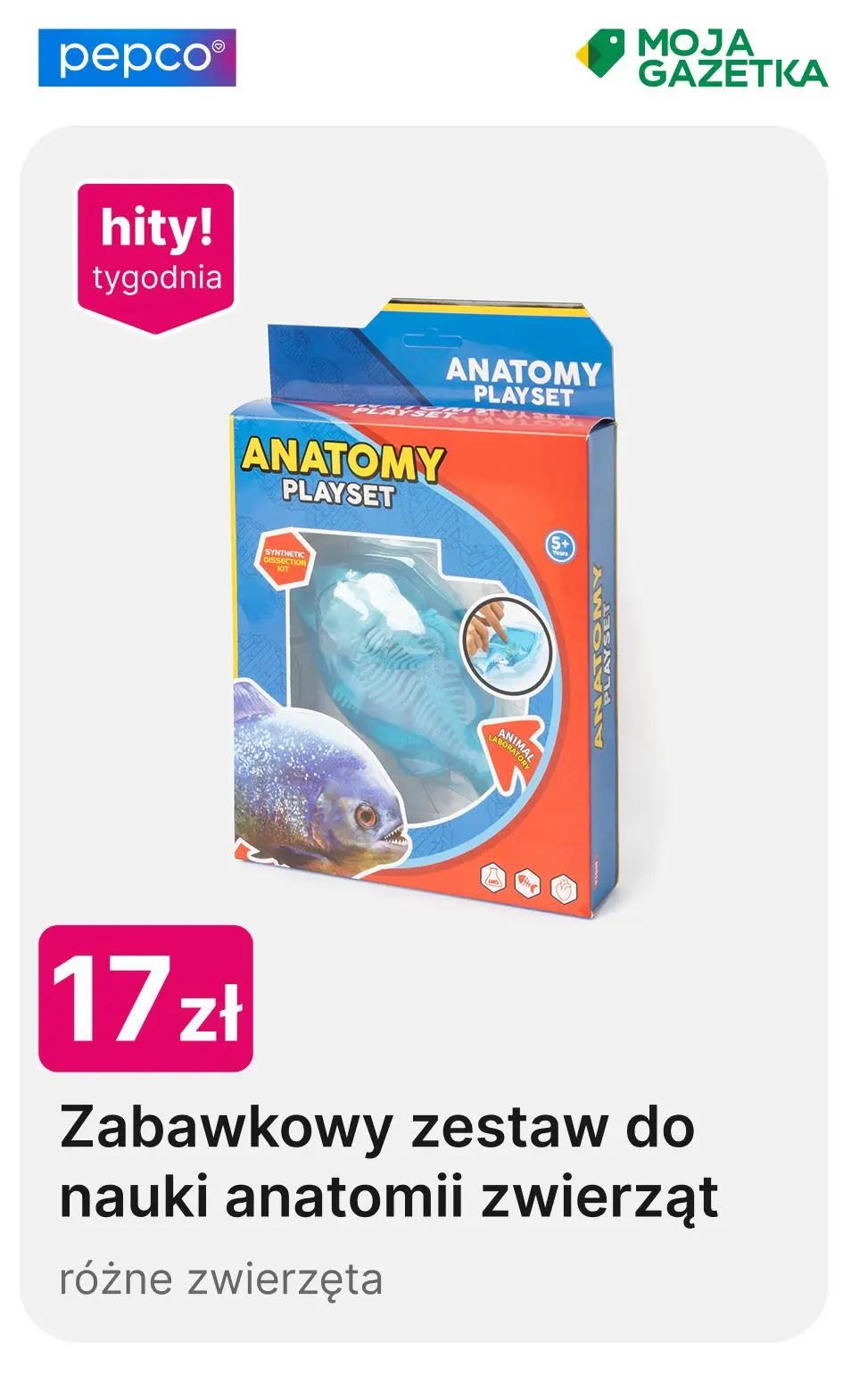 gazetka promocyjna PEPCO Zabawki na Dzień Dziecka - Strona 10