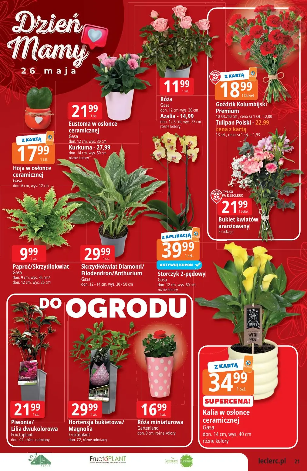 gazetka promocyjna E.Leclerc Top marki - oferta rozszerzona - Strona 21