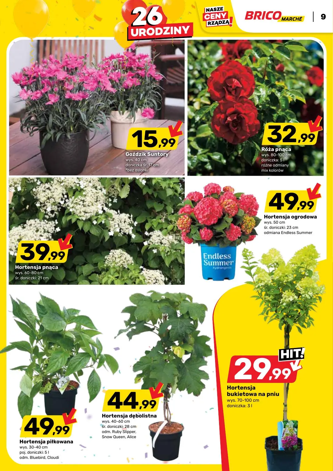 gazetka promocyjna BRICOMARCHE 26 urodziny - Strona 9
