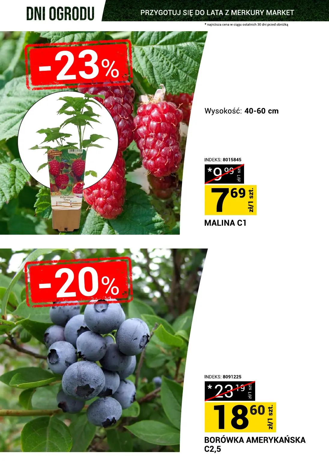 gazetka promocyjna Merkury Market Dni ogrodu - Strona 8