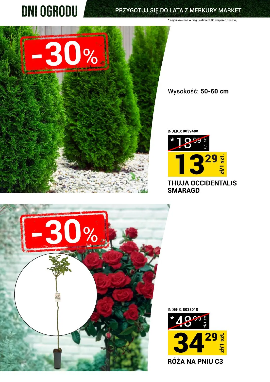 gazetka promocyjna Merkury Market Dni ogrodu - Strona 9