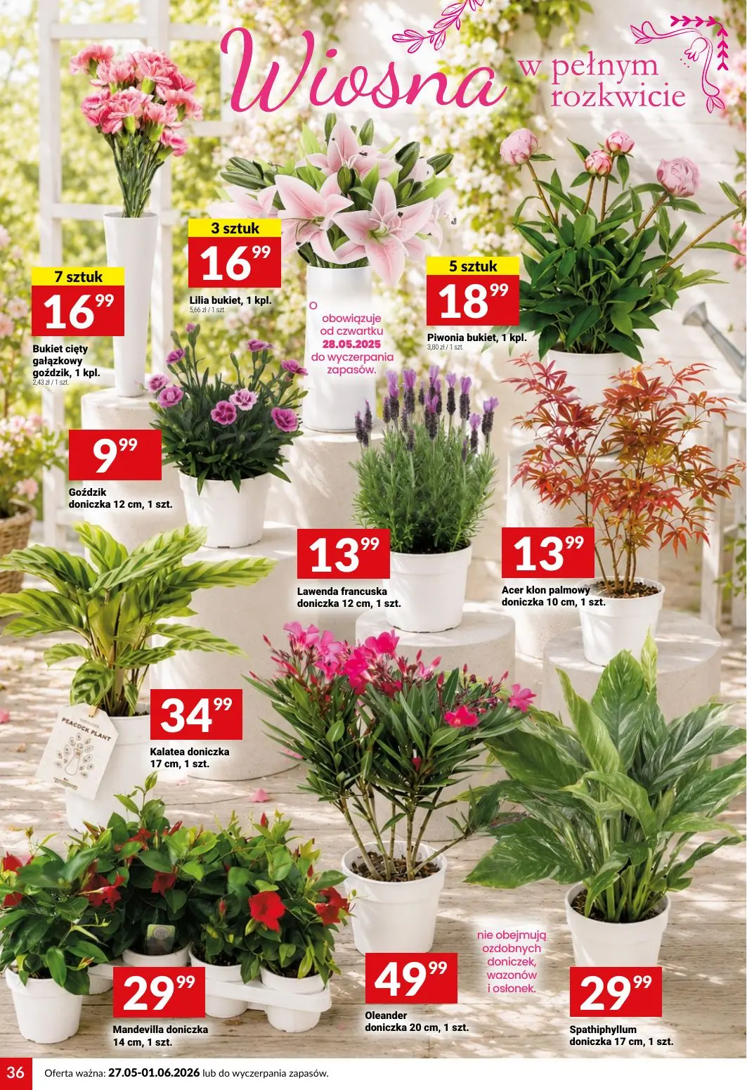 gazetka promocyjna Twój Market Włącz promocje - Strona 36