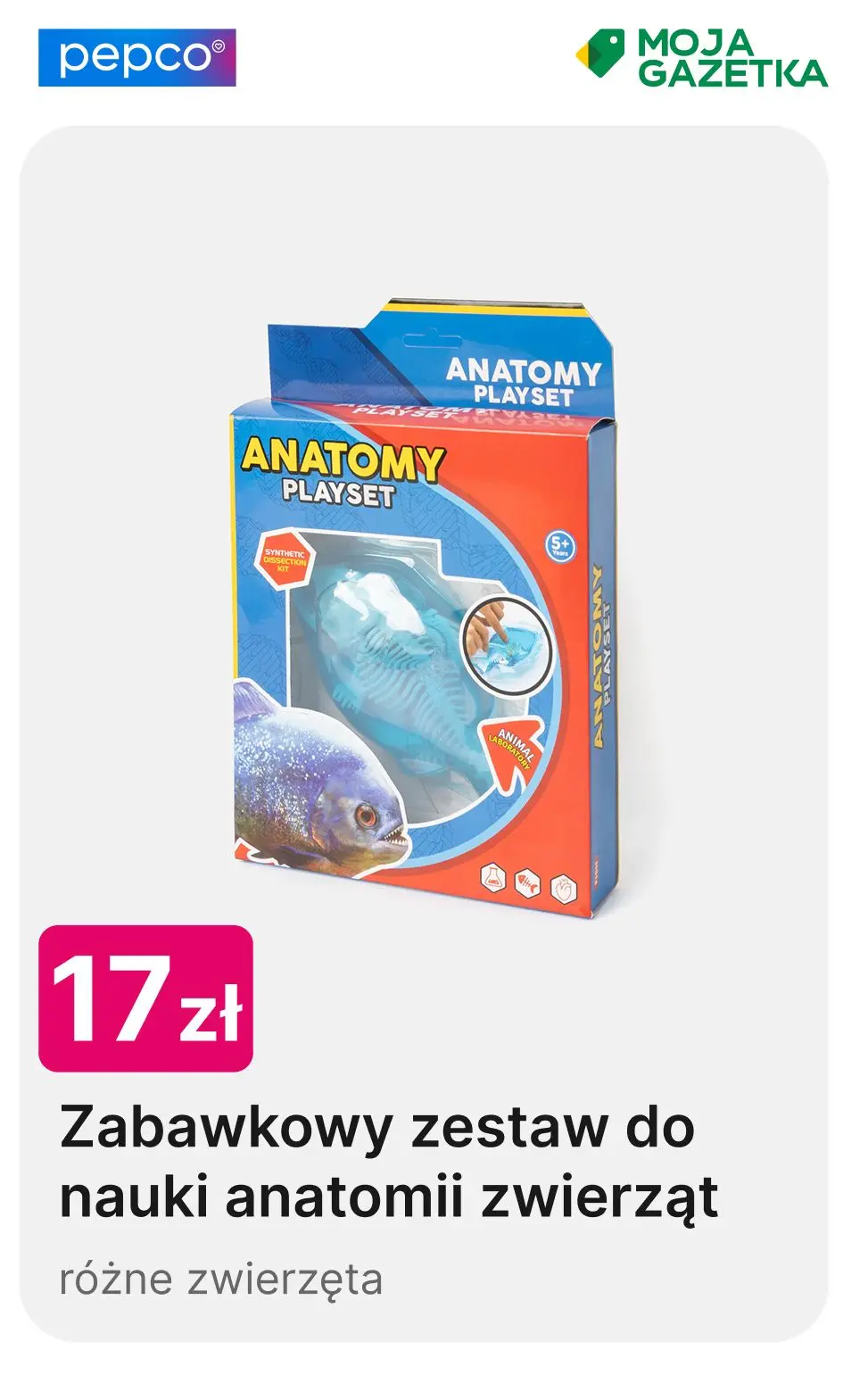 gazetka promocyjna PEPCO Zabawki na Dzień Dziecka - Strona 10