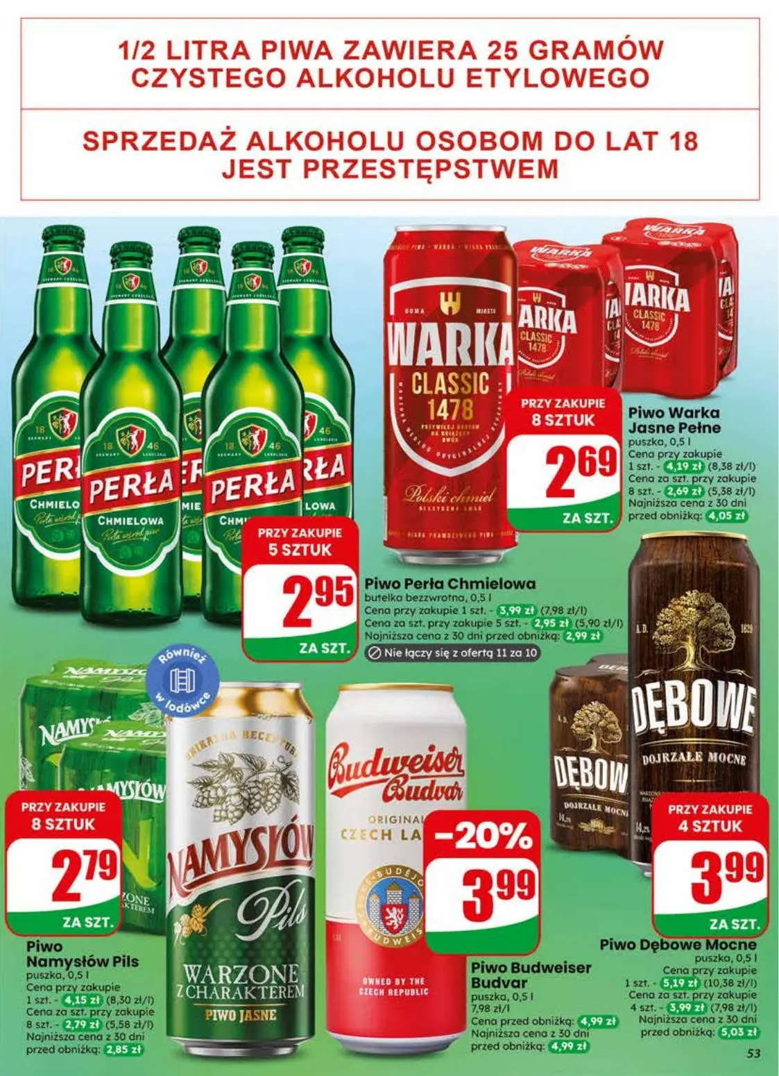 gazetka promocyjna dino Najbliżej Ciebie - Strona 53