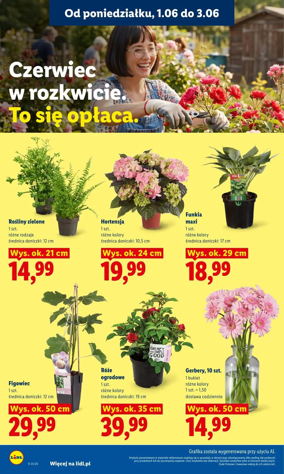 gazetka promocyjna LIDL Od poniedziałku  - Strona 106