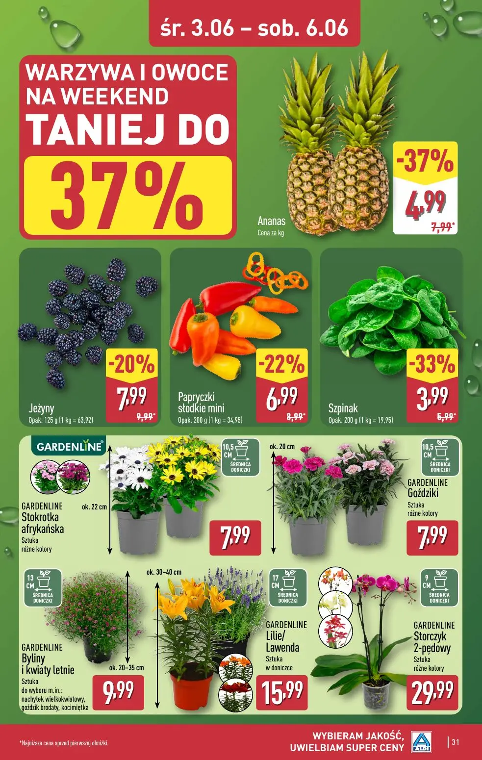 gazetka promocyjna ALDI Wybieram jakość - Strona 31