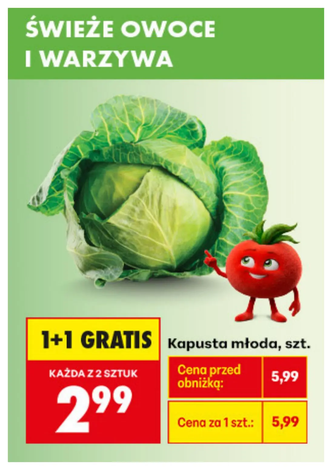 gazetka promocyjna Biedronka Biedronkowe oszczędności - Strona 17