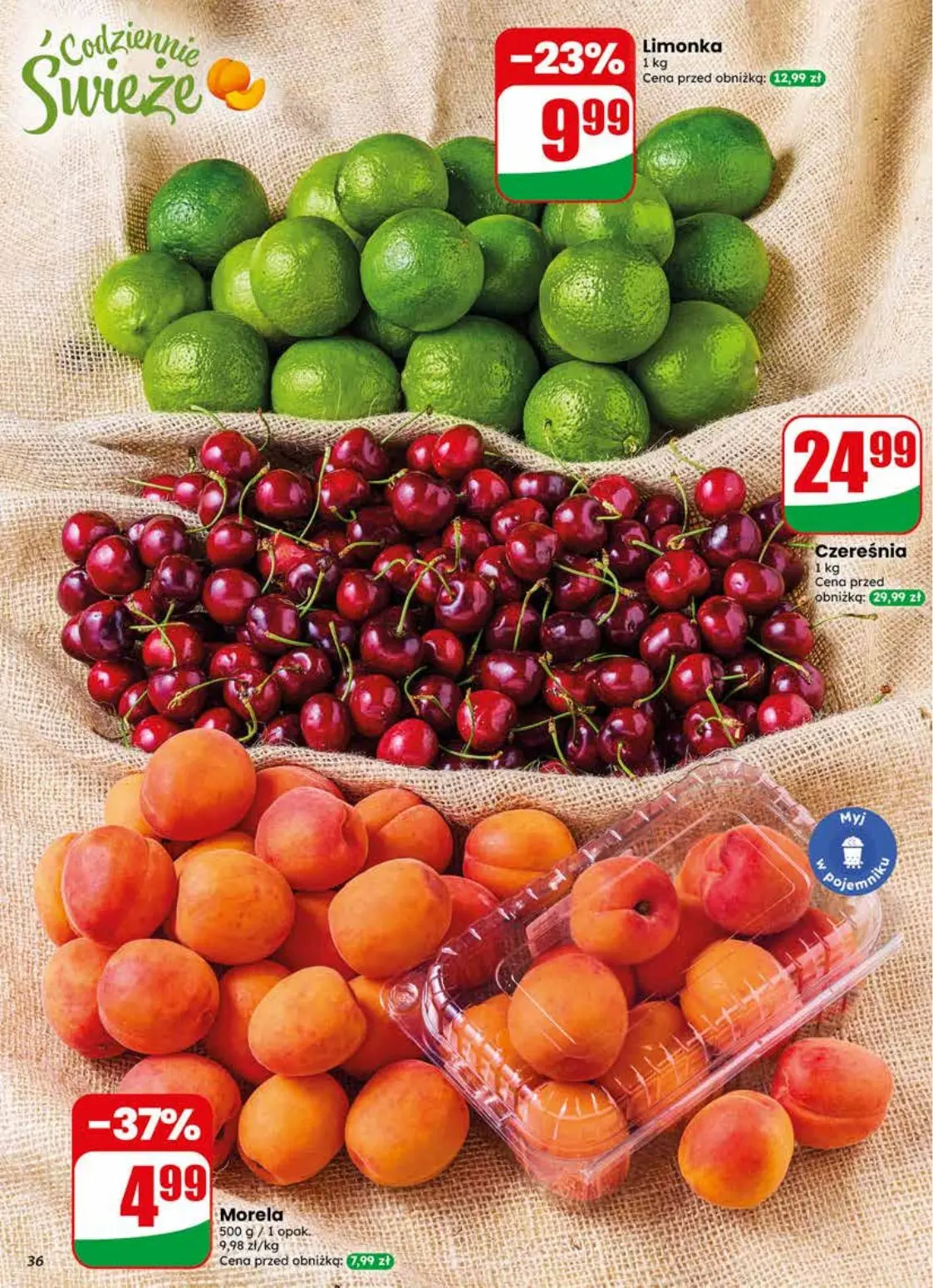 gazetka promocyjna dino Najbliżej Ciebie - Strona 36