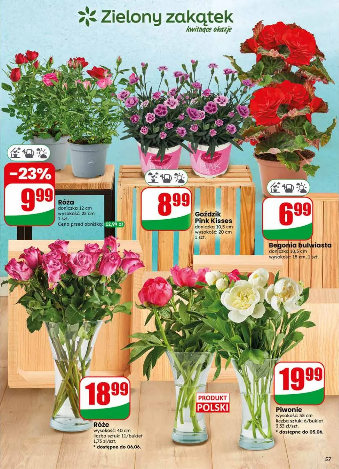 gazetka promocyjna dino Najbliżej Ciebie - Strona 57
